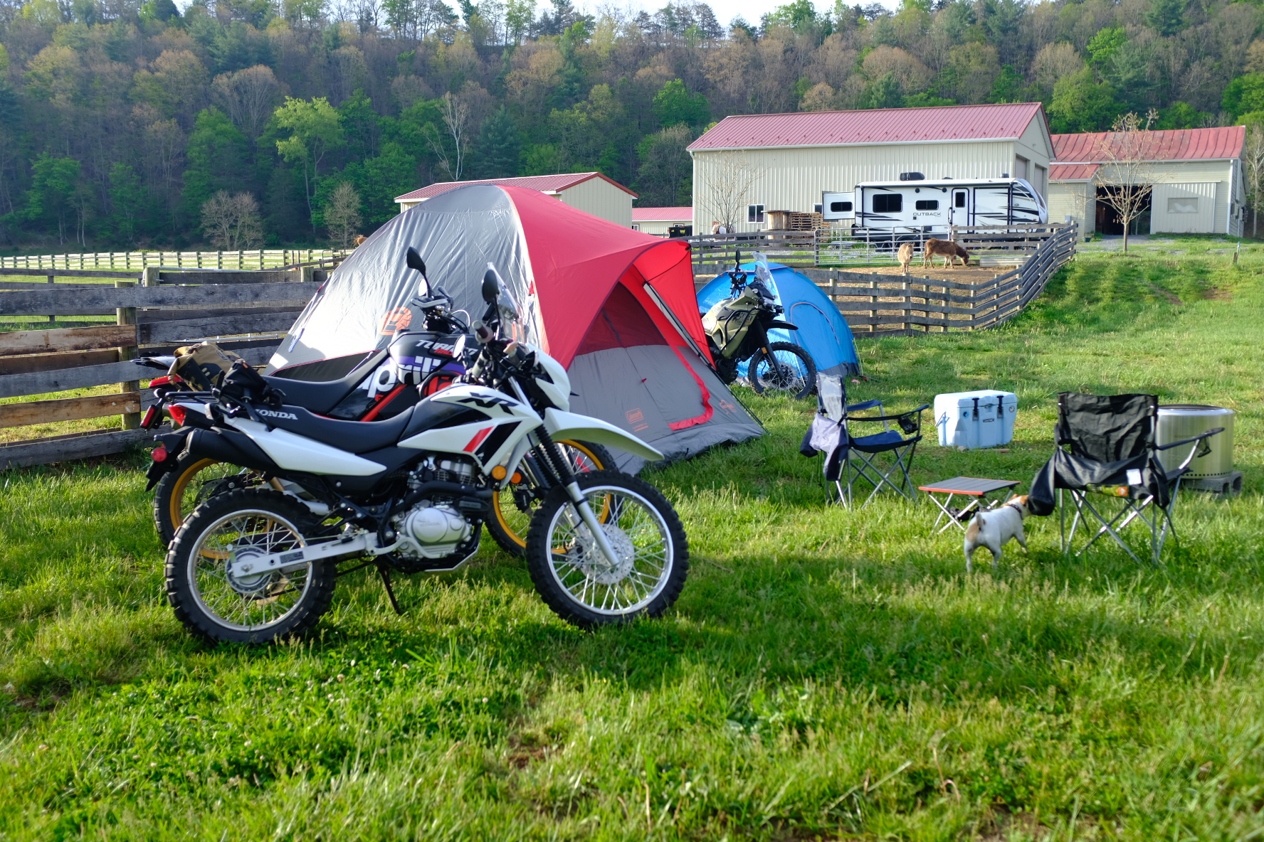 Tents and adventure bikes set up at base camp on Mantodea Farm