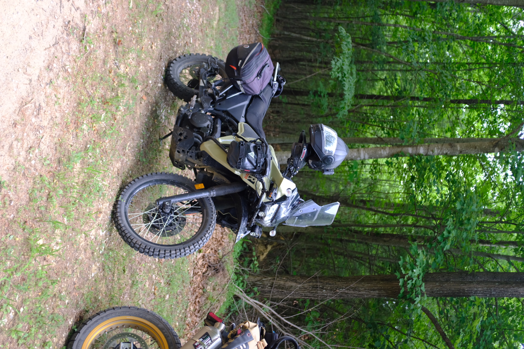 Khaki dual-sport motorcycle parked in the forest at Penmerryl Farm